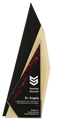 Aglow Geometric crystal award with black, gold, and red marbled design presented to Dr. Angela by Smartee Provider for excellence in performance, 2025.